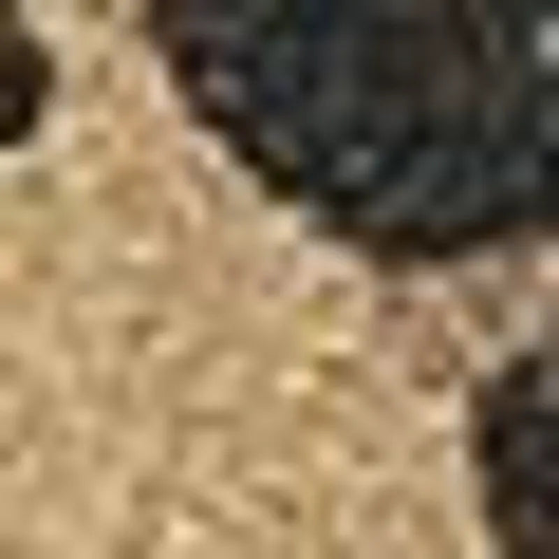 Leopard print